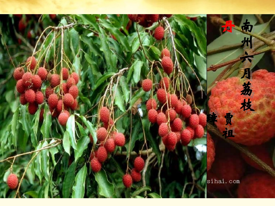 语文 1.2.1(南州六月荔枝丹)同步备课课件 苏教版必修5 课件_第1页