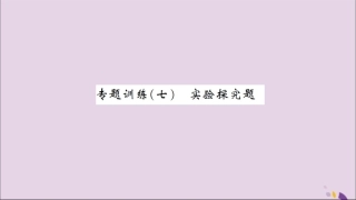 湖北省中考化学一轮复习 专题训练(七)实验探究题习题课件