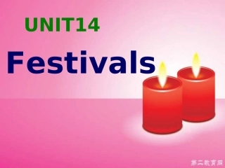 浙江省高一英语Unit14 Festivals 课件