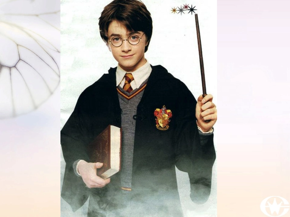 高中英语 Rowling and Harry Potter1课件 外研版选修6 课件_第2页