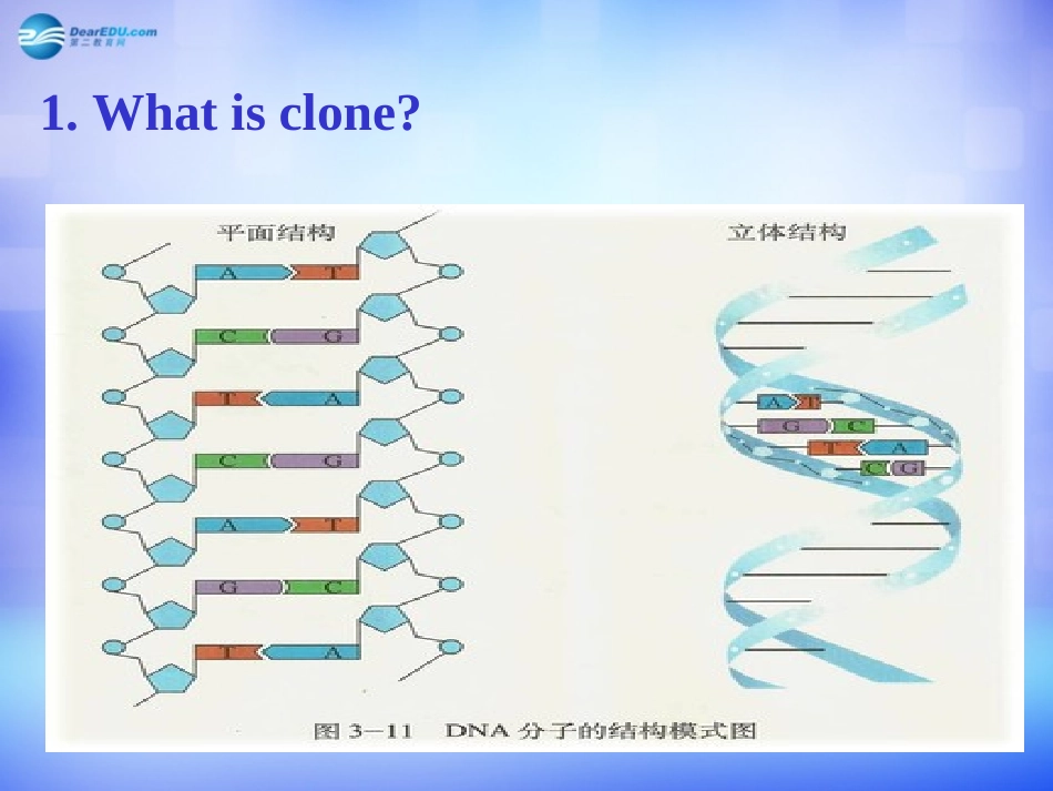 高中英语 Module 5 Cloning period 1课件 外研版选修6 课件_第2页