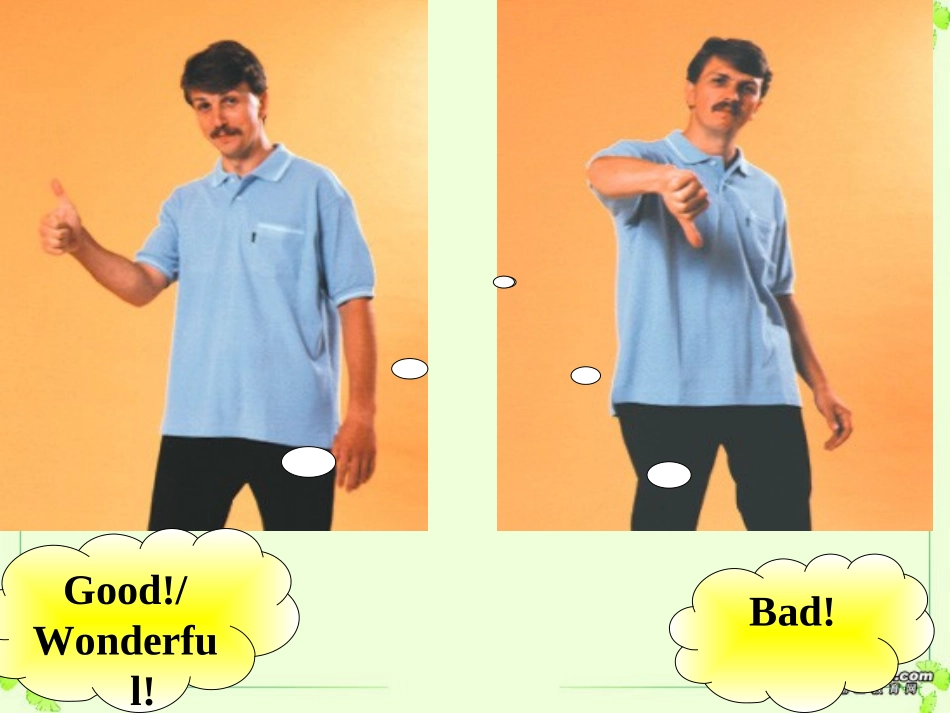 高三英语第一轮高一教材复习课件Unit21 新课标 人教版 课件_第2页