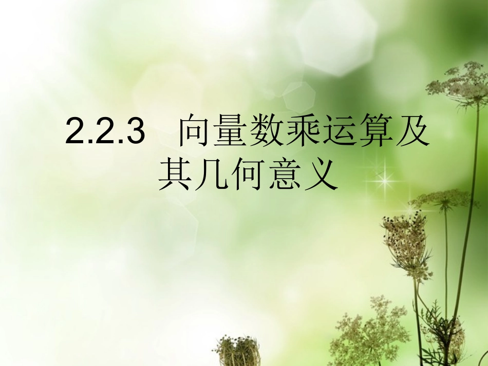 高中数学 (223 向量的数乘)2课件 苏教版必修4 课件_第1页