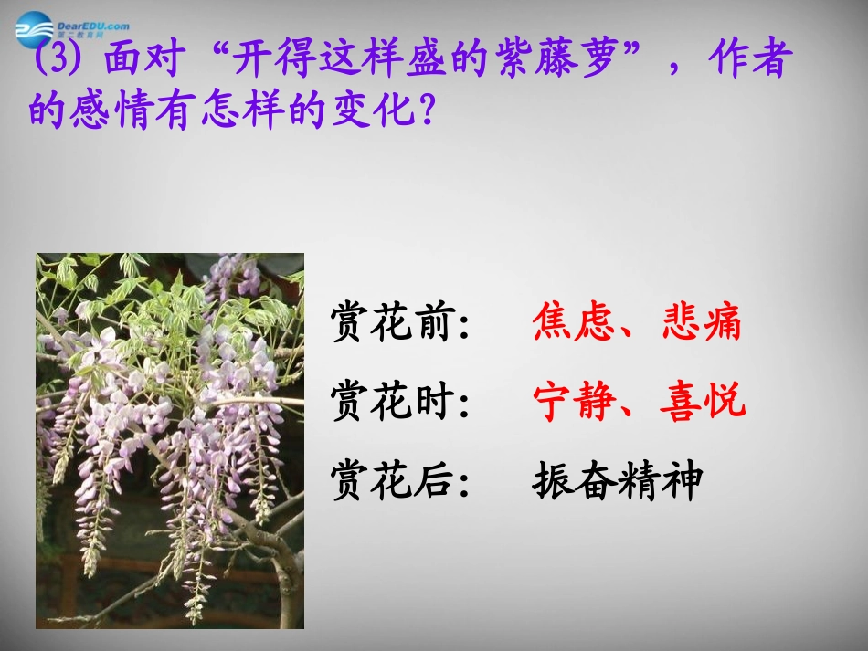 辽宁省东港市小甸子中学七年级语文上册 16 紫藤萝瀑布课件 (新版)新人教版_第2页