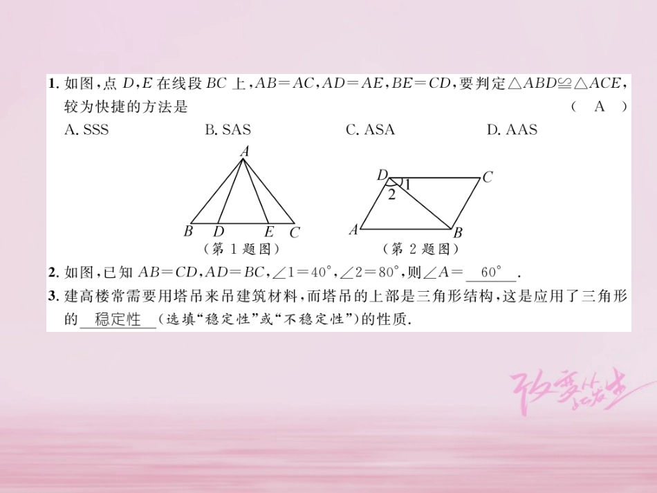 秋八年级数学上册 第2章 三角形 2.5 全等三角形(5)练习课件 (新版)湘教版 课件_第2页