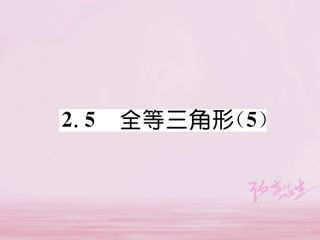 秋八年级数学上册 第2章 三角形 2.5 全等三角形(5)练习课件 (新版)湘教版 课件
