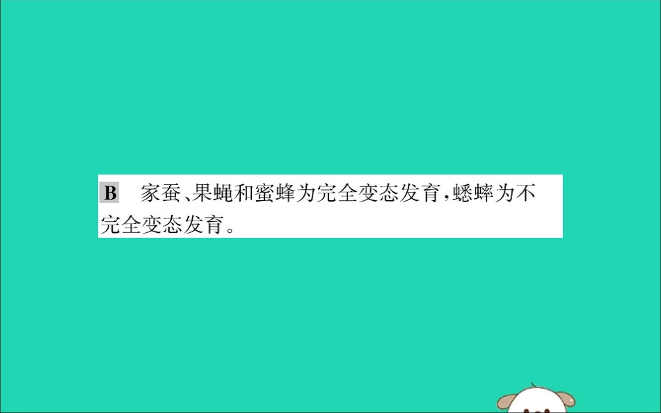 版八年级生物下册 第七单元 生物圈中生命的延续和发展 第一章 生物的生殖和发育 2 昆虫的生殖和发育训练课件 (新版)新人教版 课件_第3页