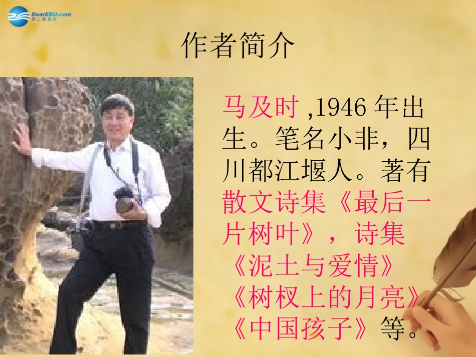 秋七年级语文上册 9 王几何课件 (新版)新人教版 教案_第2页