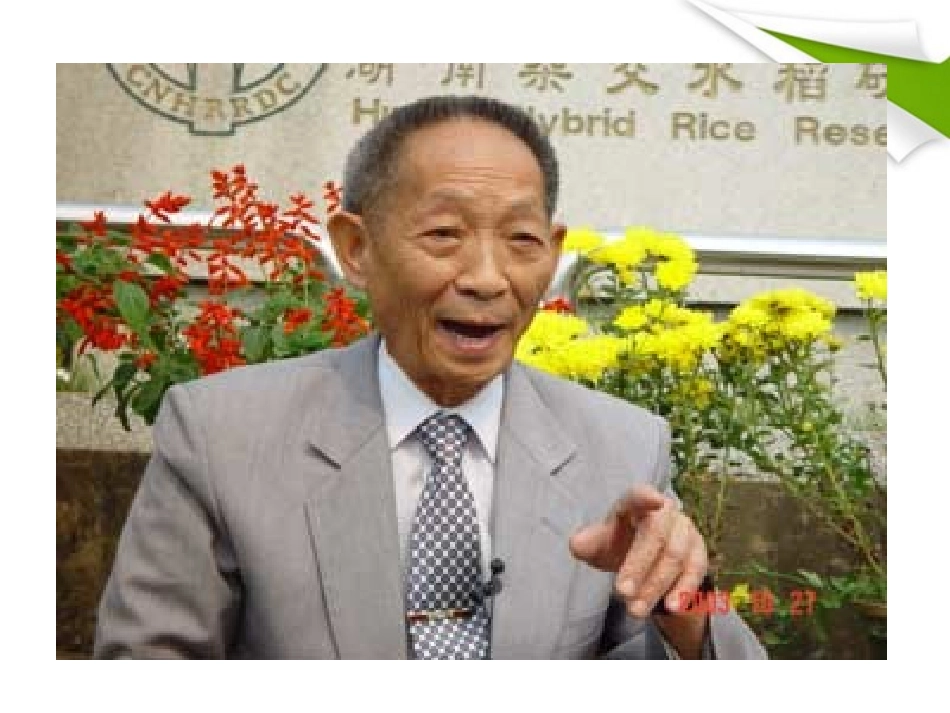 版八年级语文上册 第8课 杂交水稻之父——袁隆平 课新课标同步授课件 语文版 课件_第3页