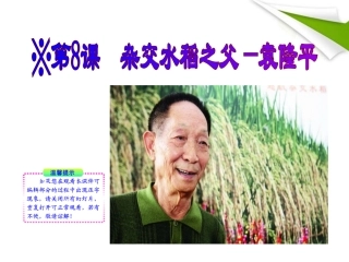 版八年级语文上册 第8课 杂交水稻之父——袁隆平 课新课标同步授课件 语文版 课件