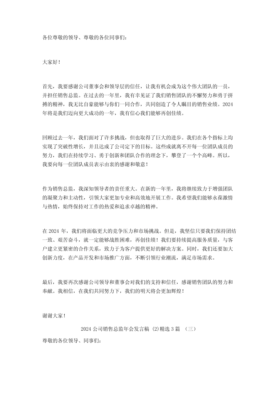 2024公司销售总监年会发言稿3_第2页
