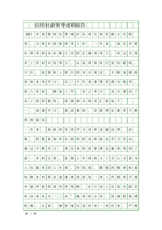 信用社副领导述职报告精品工作报告