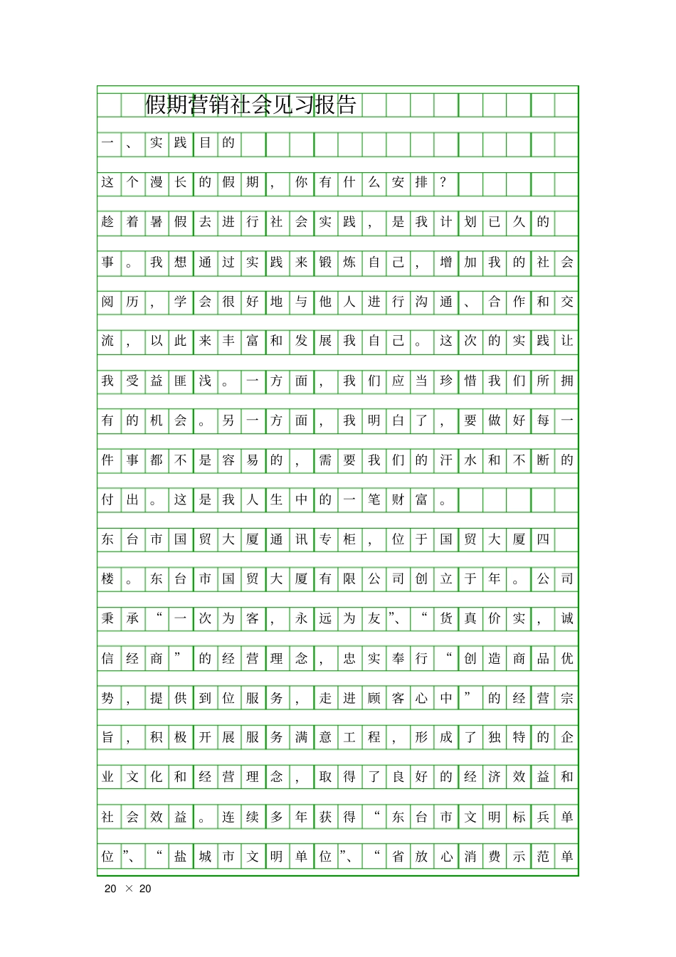 假期营销社会见习报告精品工作报告_第1页
