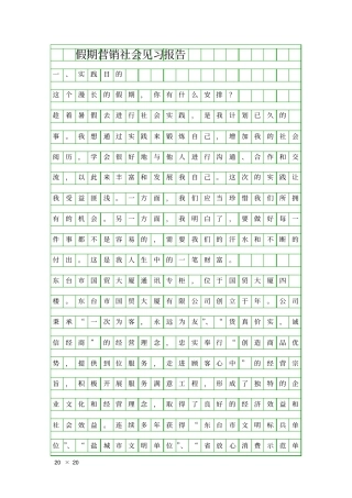 假期营销社会见习报告精品工作报告