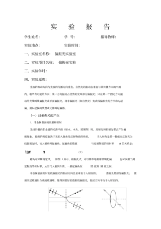 偏振光试验报告