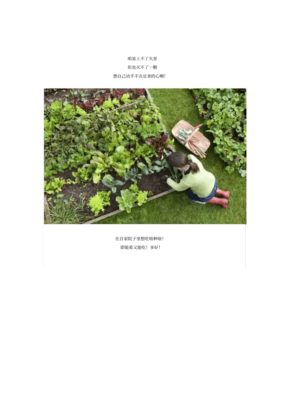 做一个终极吃货再也不用去菜场啦讲解_第2页