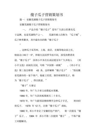 傻子瓜子营销策划书