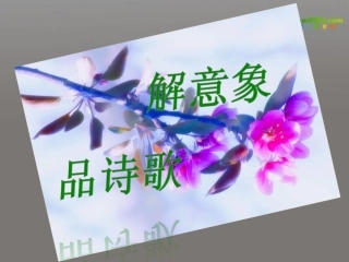 高中语文 综合性学习(解意象 品诗歌)课件 人教版第三册 课件