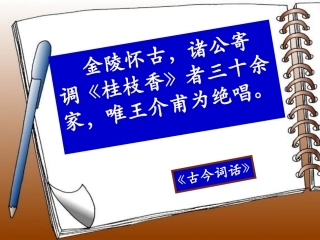 高中语文(桂枝香 金陵怀古)课件 苏教版必修2 课件
