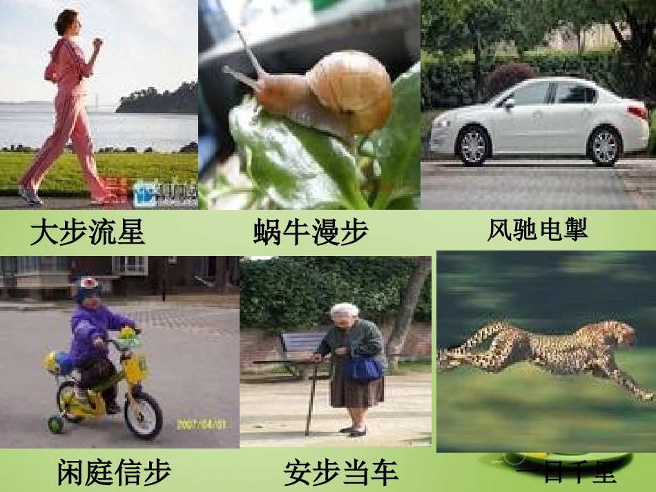 秋八年级物理上册 1.2 运动的快慢课件 鲁教版 课件_第2页