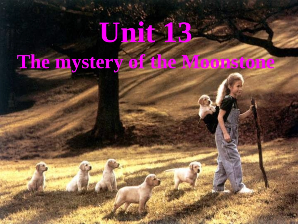 高三英语第十三单元全单元课件 人教版 课件_第1页