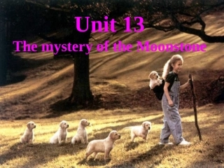 高三英语第十三单元全单元课件 人教版 课件