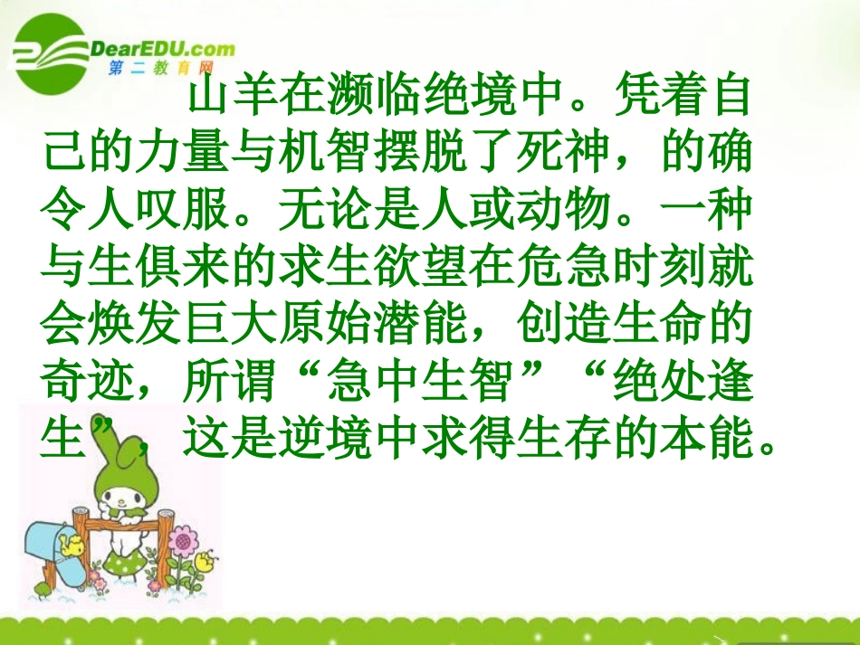 高中语文(热爱生命)课件 粤教版 课件_第3页