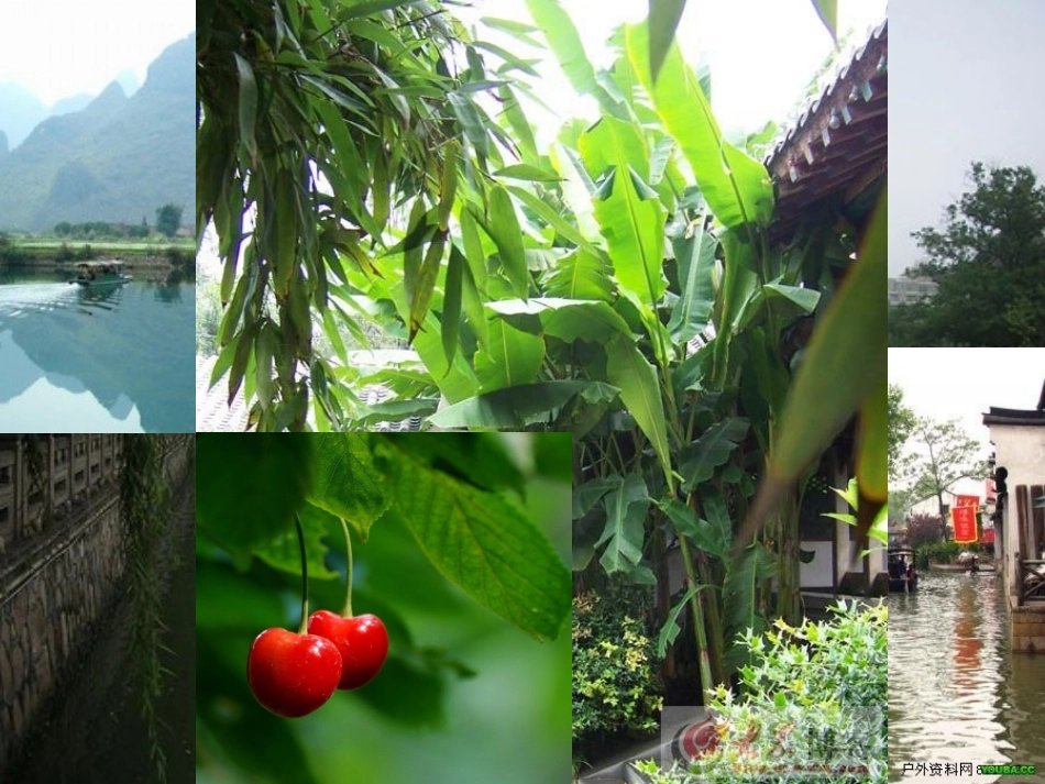 高中语文 13(囚绿记)课件 新人教版必修2 课件_第2页