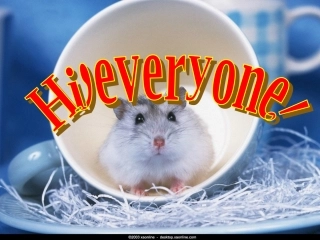 高二英语Unit2 Poems Using Language课件