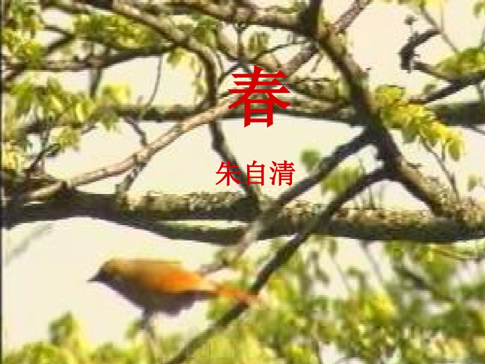 高中语文春课件5 语文版 课件_第1页