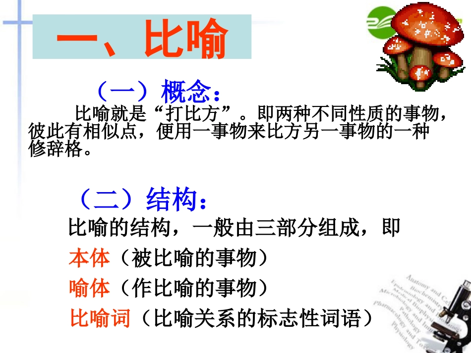 高考语文 修辞复习课件_第3页