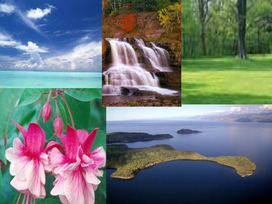 高二英语Unit9 reading saving the earth课件 人教版 课件_第2页