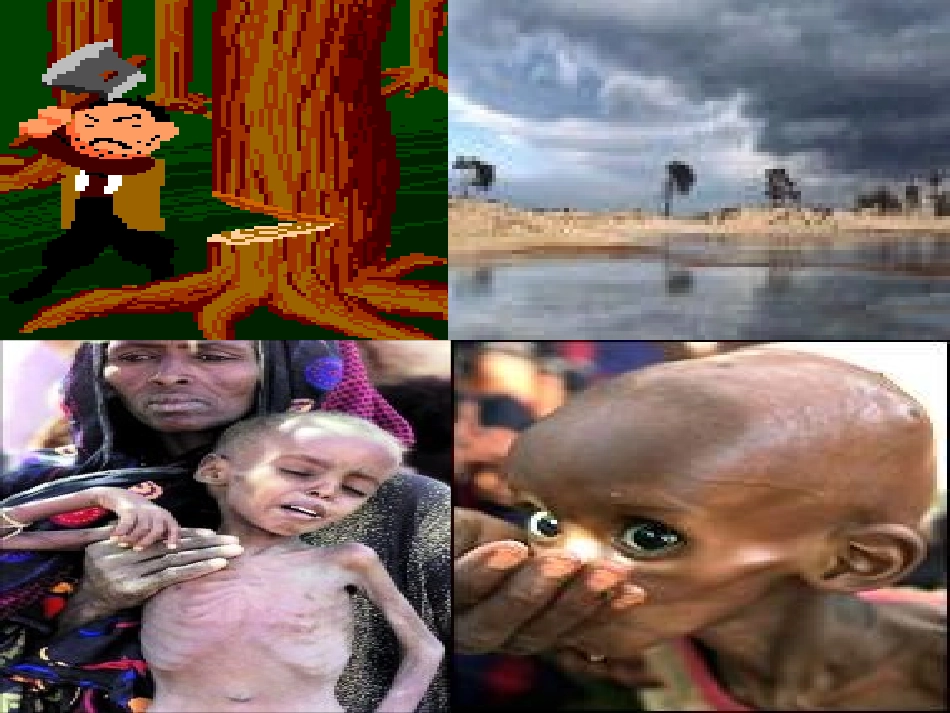 高二英语Unit9 reading saving the earth课件 人教版 课件_第3页