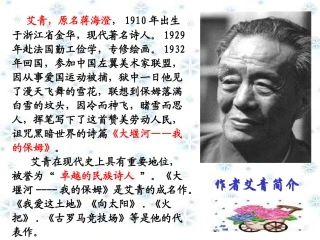 高中语文(大堰河-我的保姆)教学课件 新人教版必修1 课件