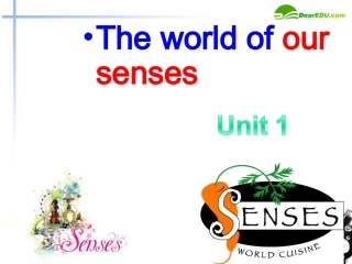 高中英语 module 4 unit 1 reading and language points课件 牛津版必修4 课件