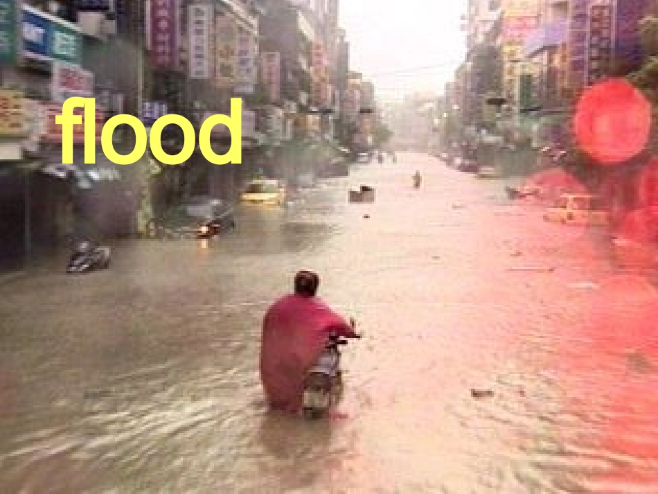 高中英语 Module3 reading课件 新人教版必修3 课件_第2页