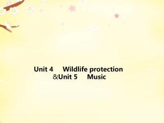 高考英语  Unit 4 Wildlife protection  Unit 5课件 新人教版必修2 课件