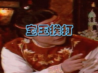 高中语文宝玉挨打课件3 苏教版 选修5 课件