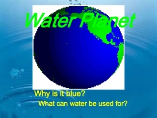 高二英语unit13 The Water Planit课件人教版 课件