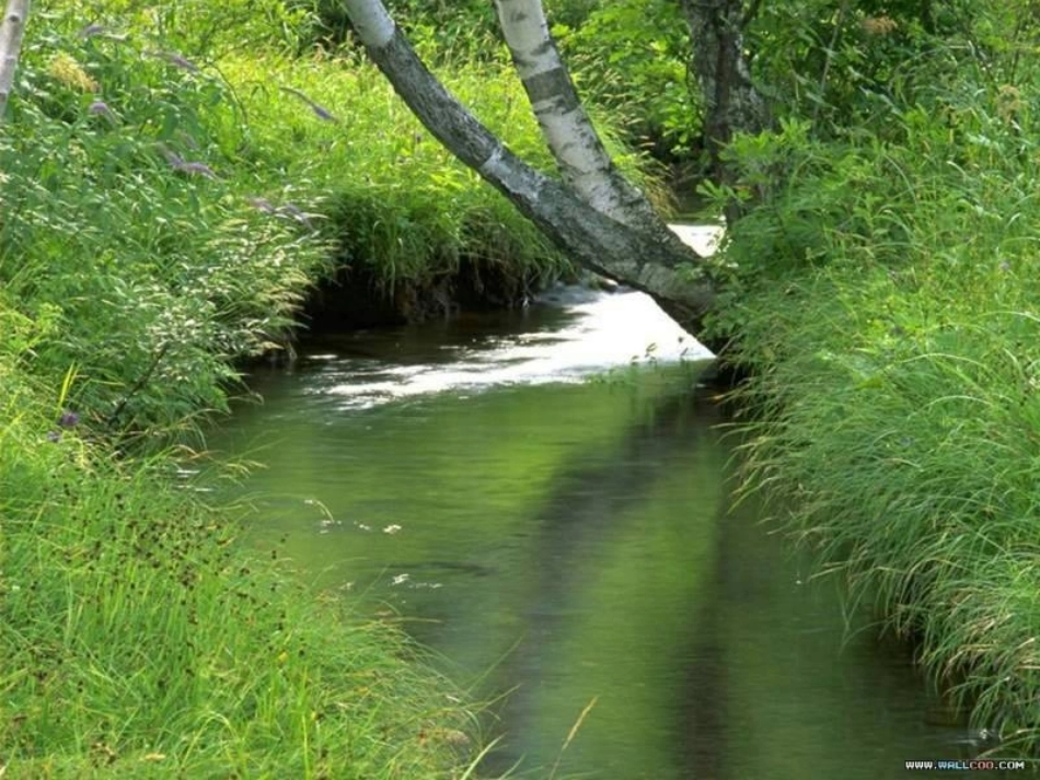 高中语文 第一单元第3课(囚绿记)课件(2) 新人教版必修2 课件_第3页