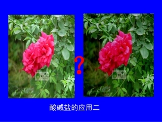 江苏地区初三化学酸碱盐的应用二 沪教版 课件