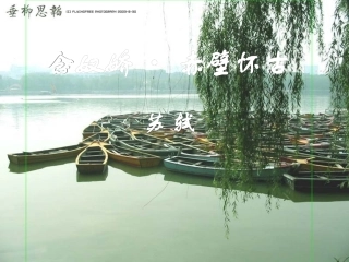 高中语文念奴娇 赤壁怀古课件3 苏教版 必修2 课件