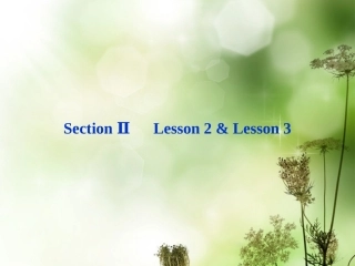 高中英语 Unit14 SectionⅡ Lesson2 & Lesson3精品课件 北师大版必修5 课件
