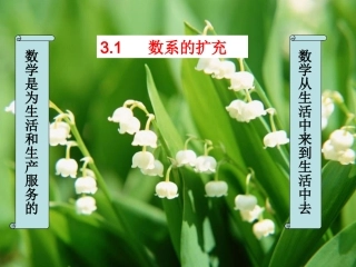 高中数学 31数系的扩充及复数的引入课件 新人教A版选修1-2 课件