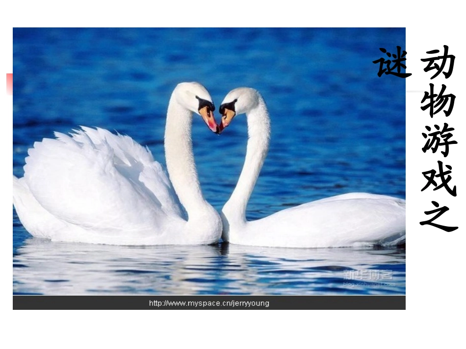 高中语文：412(动物游戏之谜)课件5(新人教版必修3) 课件_第1页