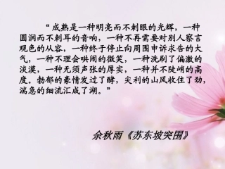 高中语文 赤壁赋7课件 新人教版必修2 课件
