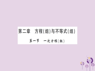 湖北省中考数学一轮复习 第二章 方程与不等式 第一节 一次方程(组)(习题提升)课件