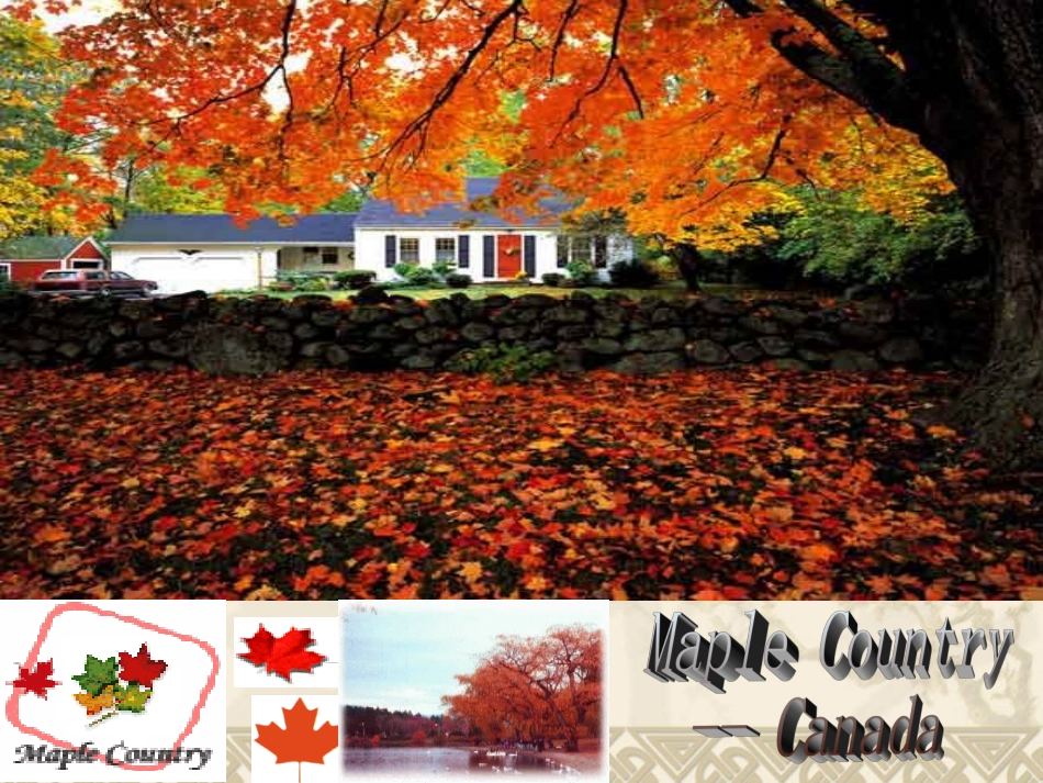 高中英语Unit5 Canada- The True North  课件3 新课标 人教版 必修3 课件_第2页