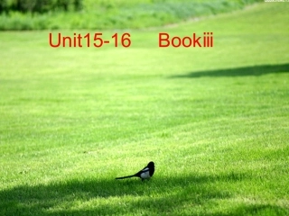 第一轮复习(高三 Unit 15-16)课件