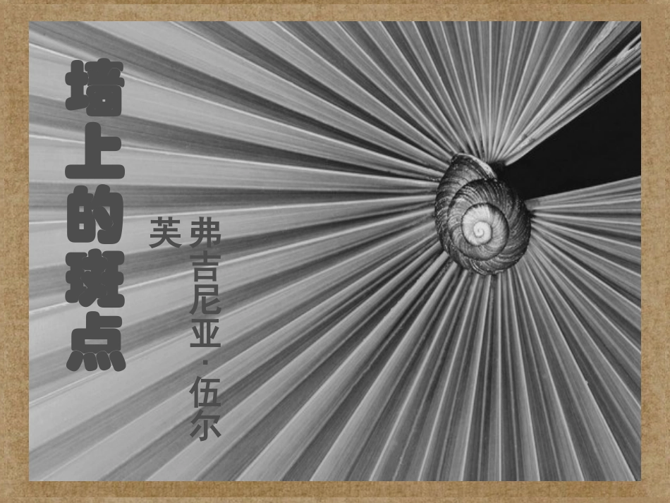 高中语文(墙上的斑点)课件5 新人教版选修 课件_第1页